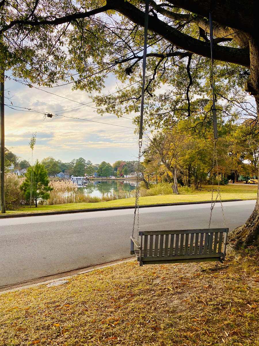 Front yard tree swing with view of Elizabeth river