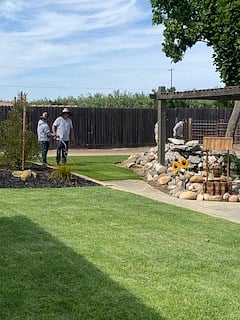Back Yard