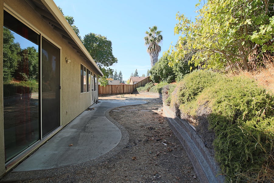 Big Backyard