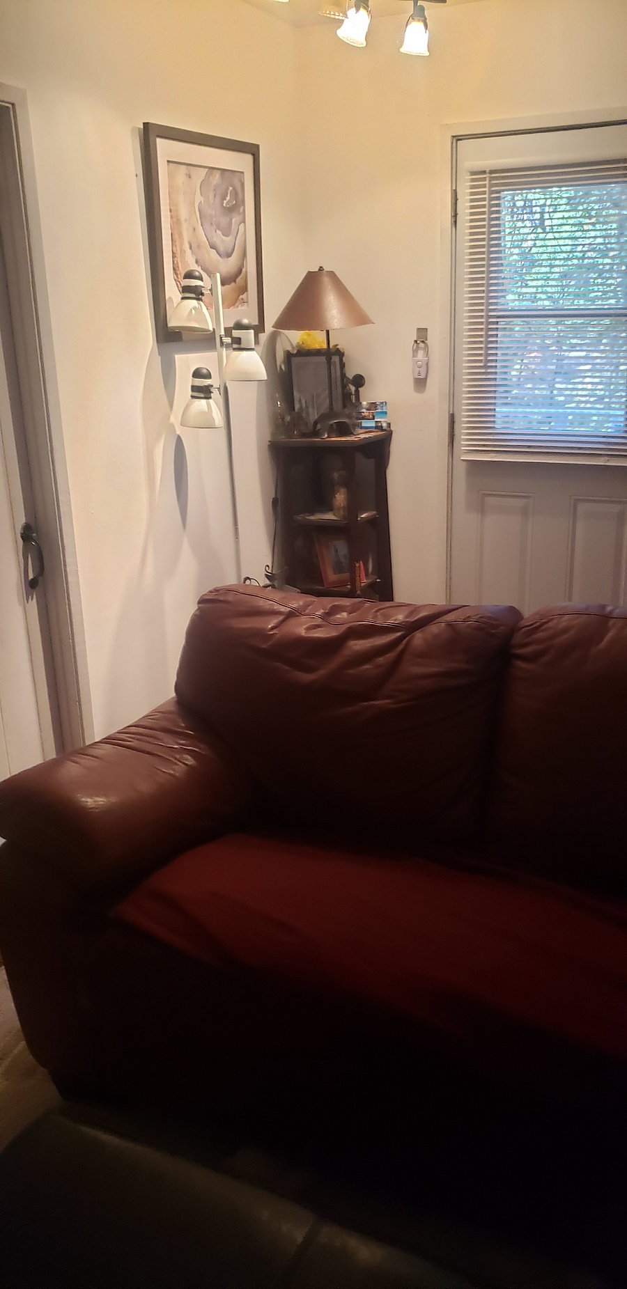 Furnished Finder property 771246_1 photo 3