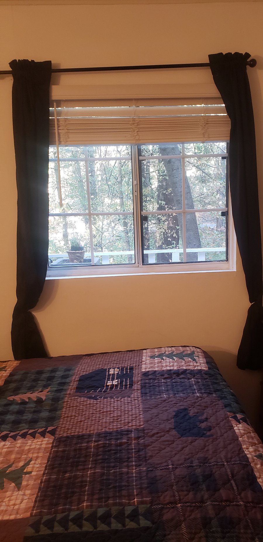 Furnished Finder property 771246_1 photo 5