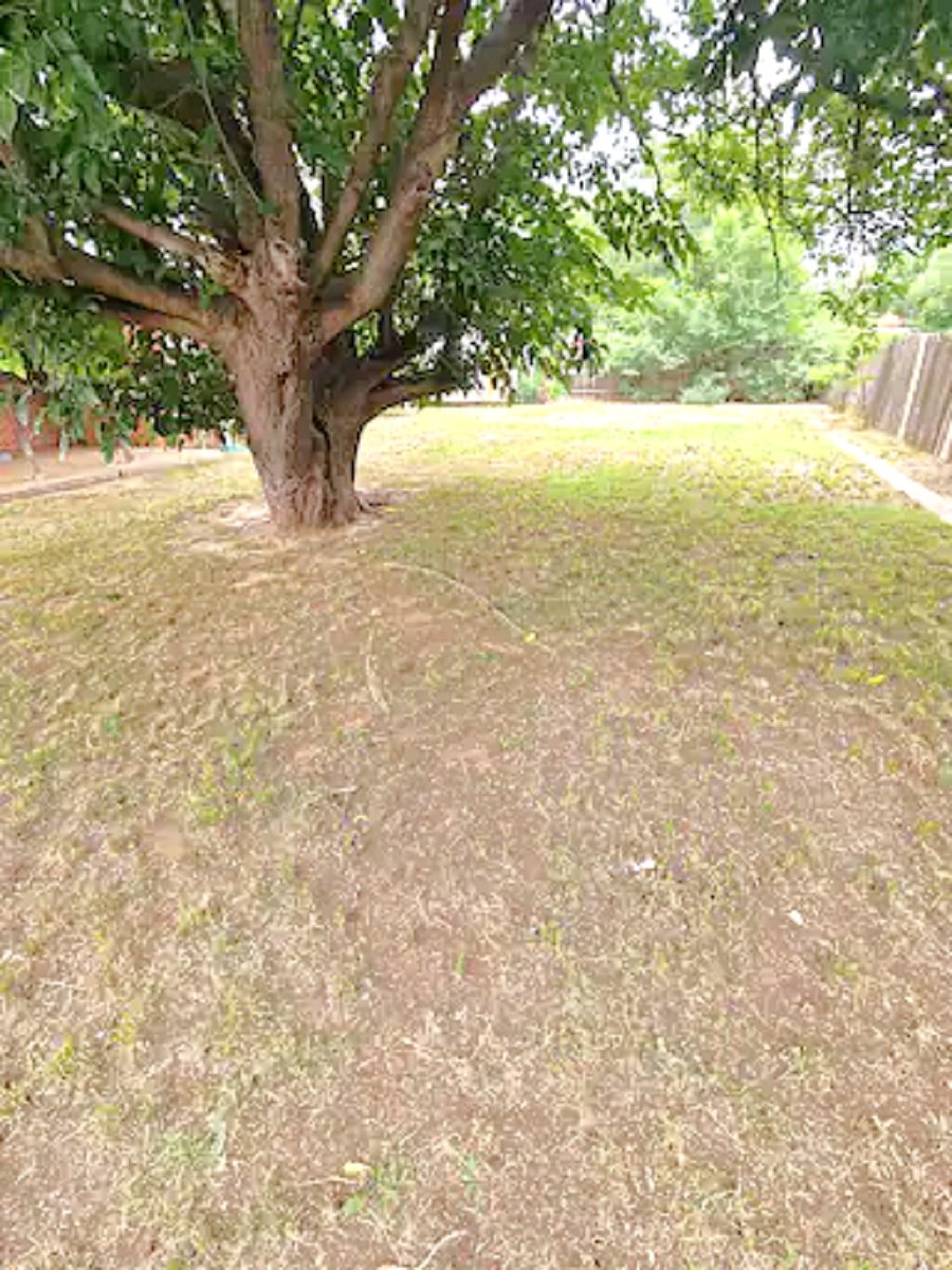 Furnished Finder property 771280_1 photo 20