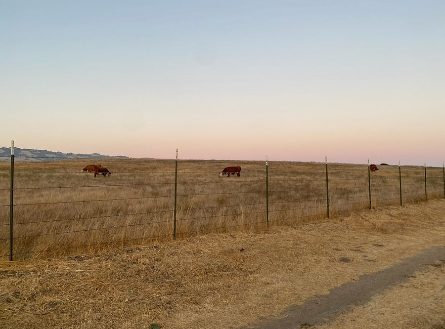 Beautiful, safe, and peaceful walking paths close by. This is about a 20 minute walk from our home.