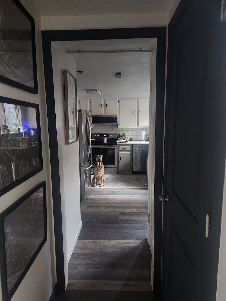 Furnished Finder property 771434_1 photo 5