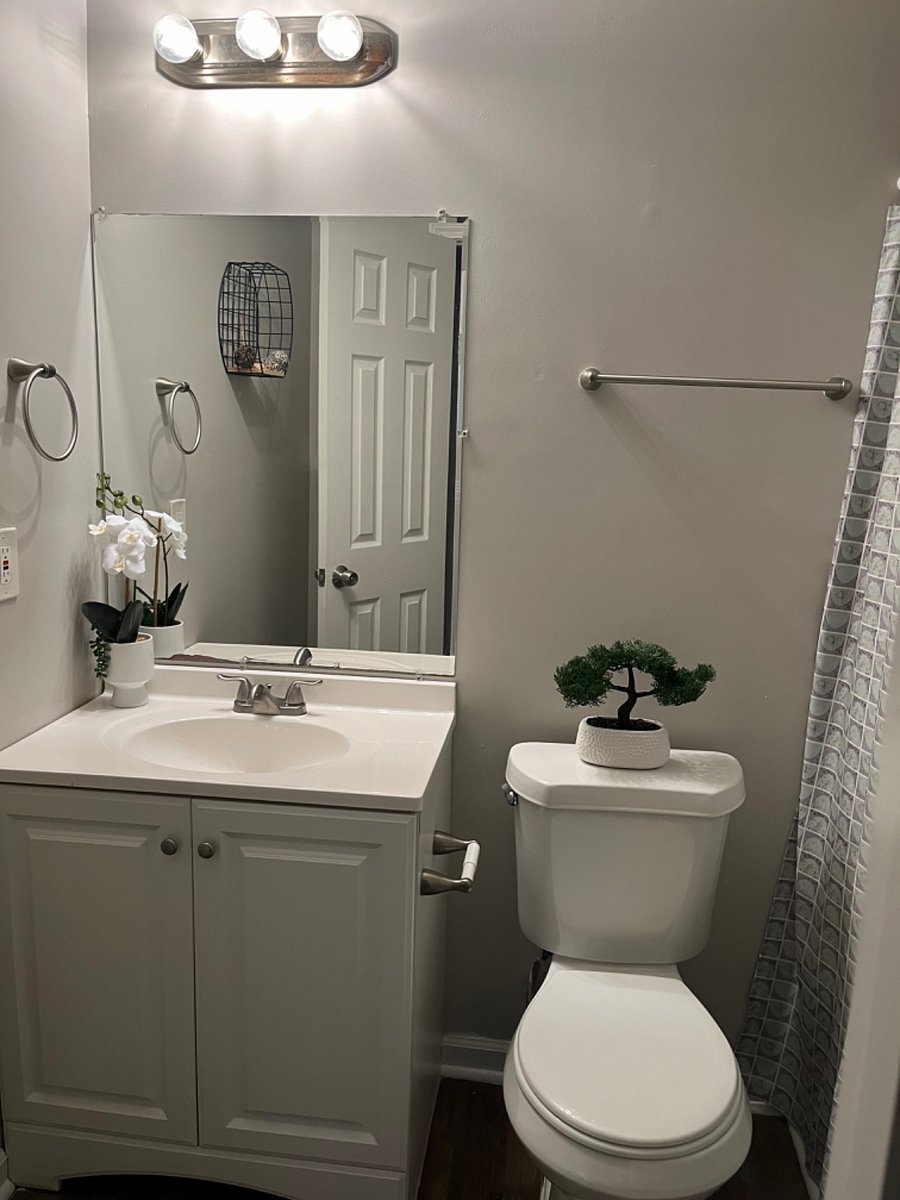 Furnished Finder property 771483_1 photo 13
