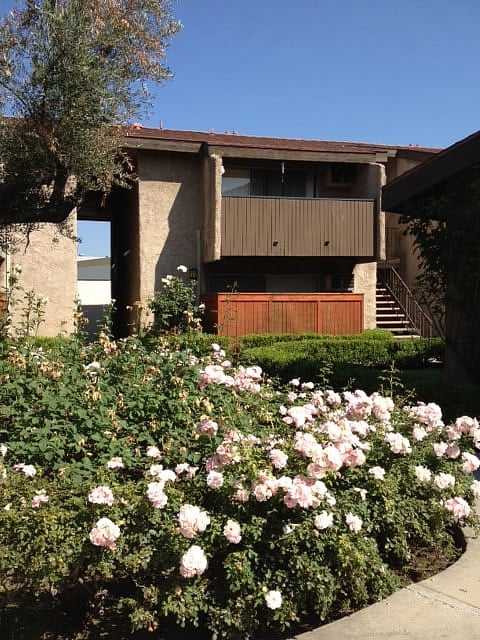 Furnished Finder property 771675_1 photo 17