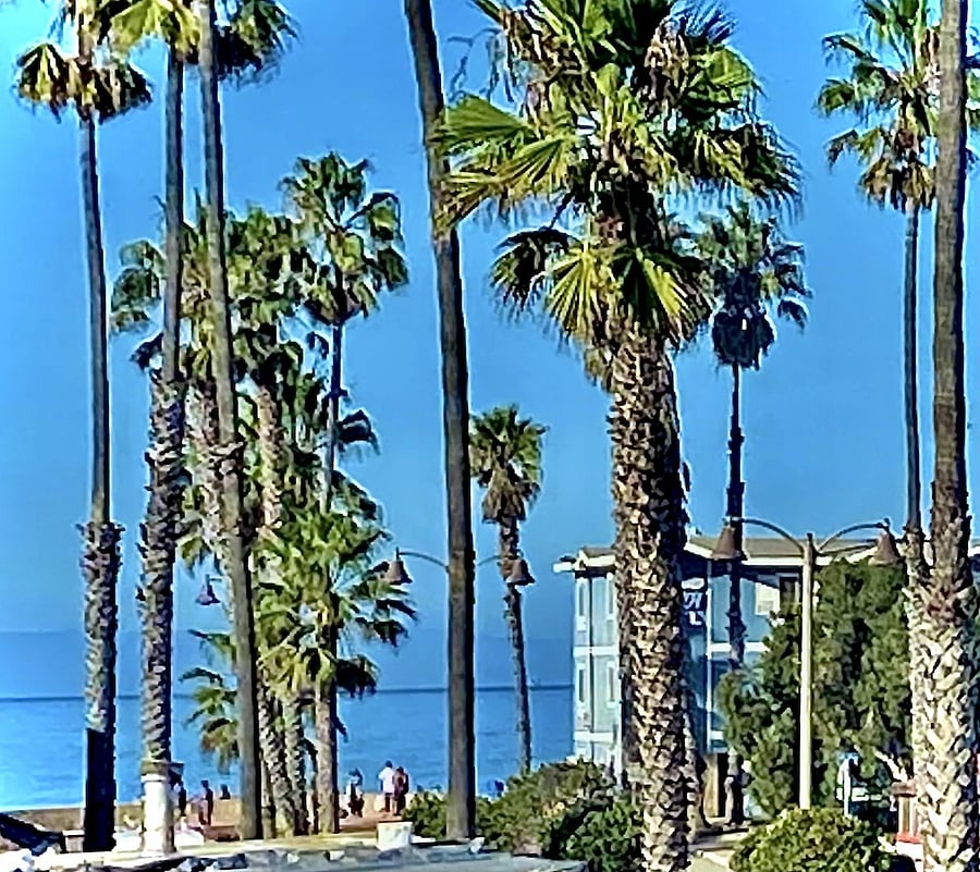 Pacific Ocean view from outside upstairs deck.