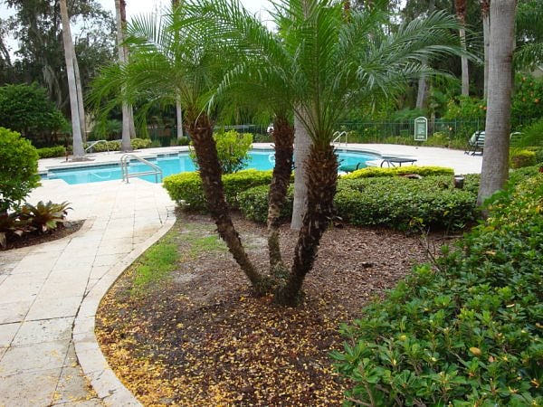 Furnished Finder property 771762_1 photo 15