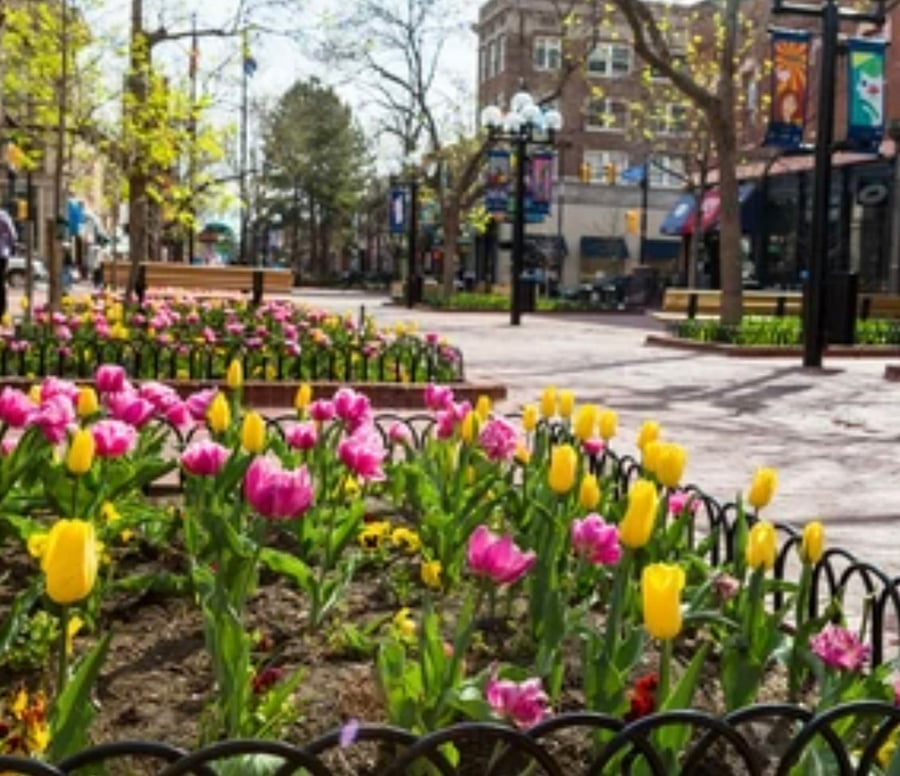 The Pearl Street Mall offers many restaurants, coffee shops and shopping and is just 15 minutes away.
