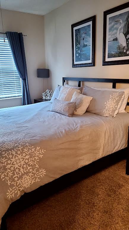 Furnished Finder property 771881_1 photo 11