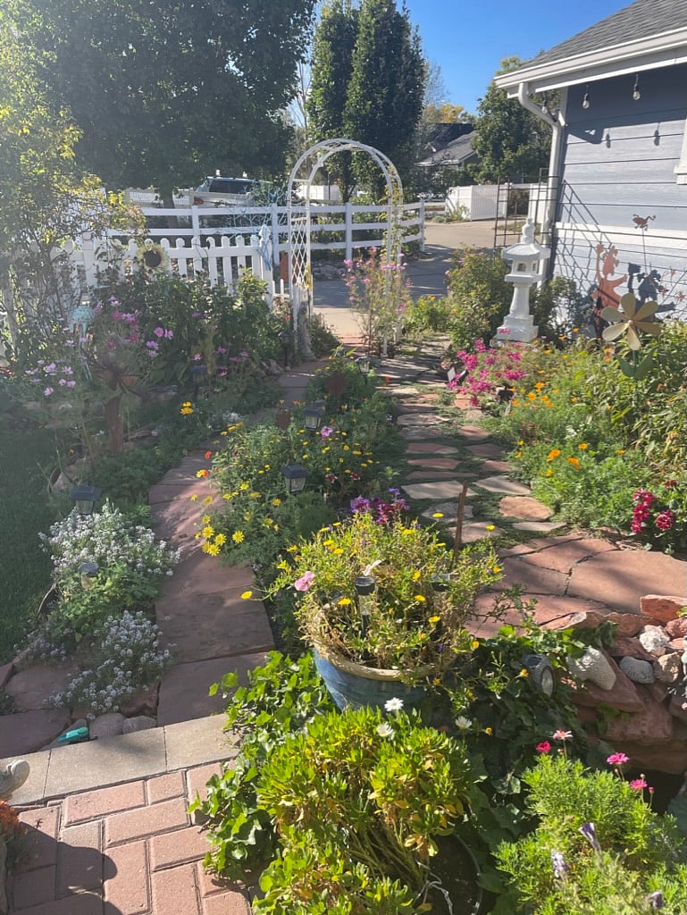 Backyard Gardens