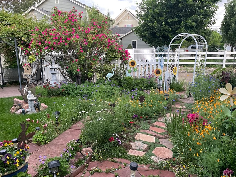 Backyard Gardens