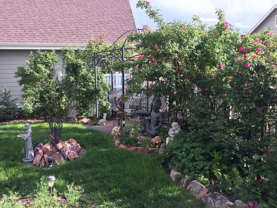 Back Yard Gardens