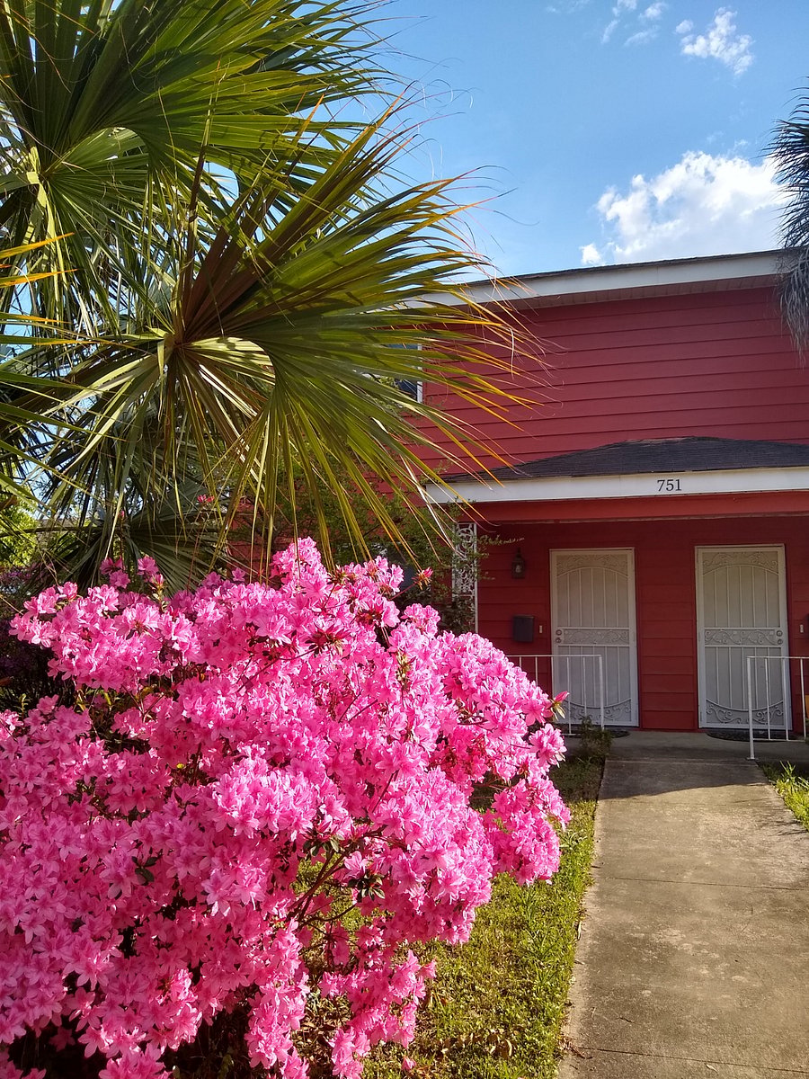 Furnished Finder property 772020_1 photo 15