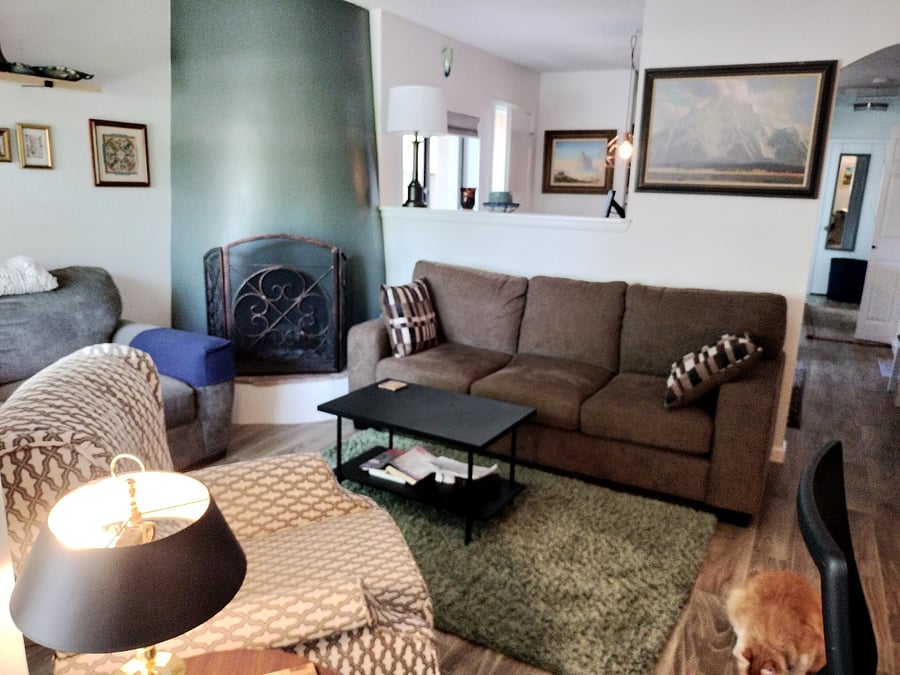 Cozy den with two couches and additional seating, working kiva fireplace. Smart t.v. and small desk.