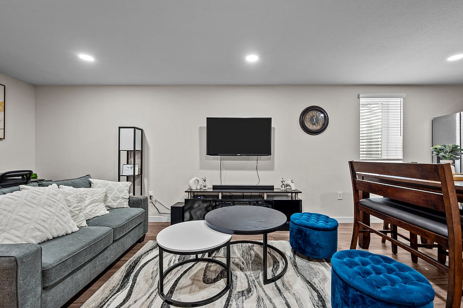 Living Area - Lower Unit
