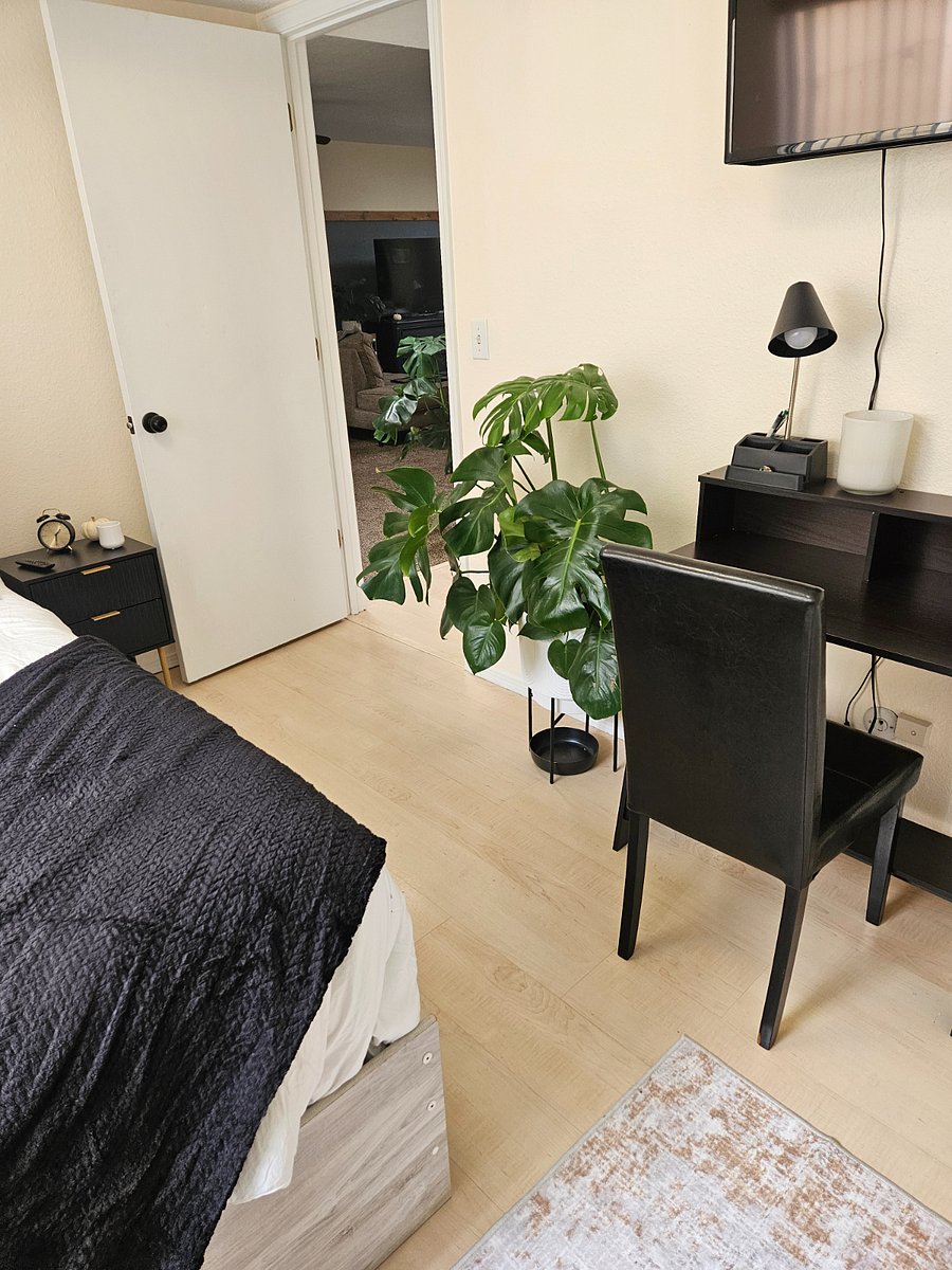 Furnished Finder property 772257_1 photo 9