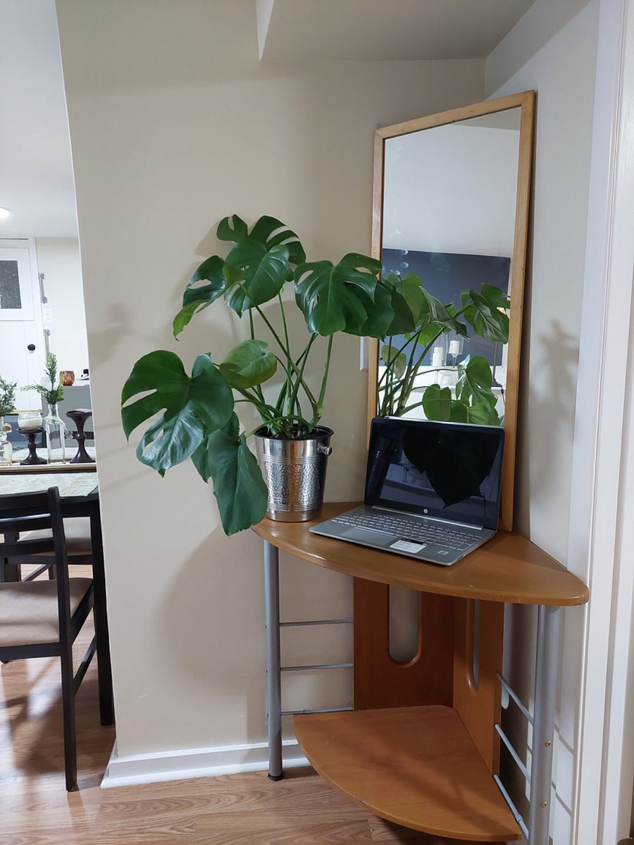 Furnished Finder property 772320_1 photo 7