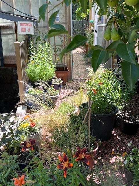 Outdoor garden area near the rental entrance