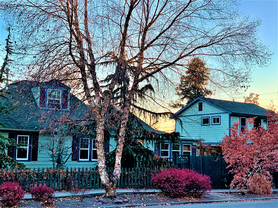 Full view of the buildings on the property