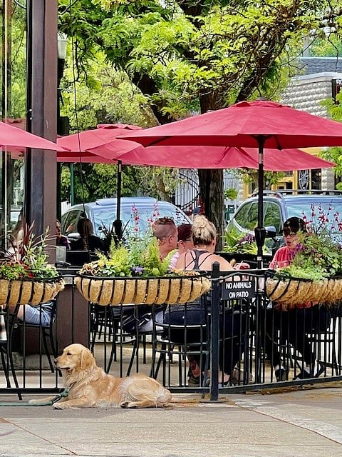 Hyde Park outdoor tables