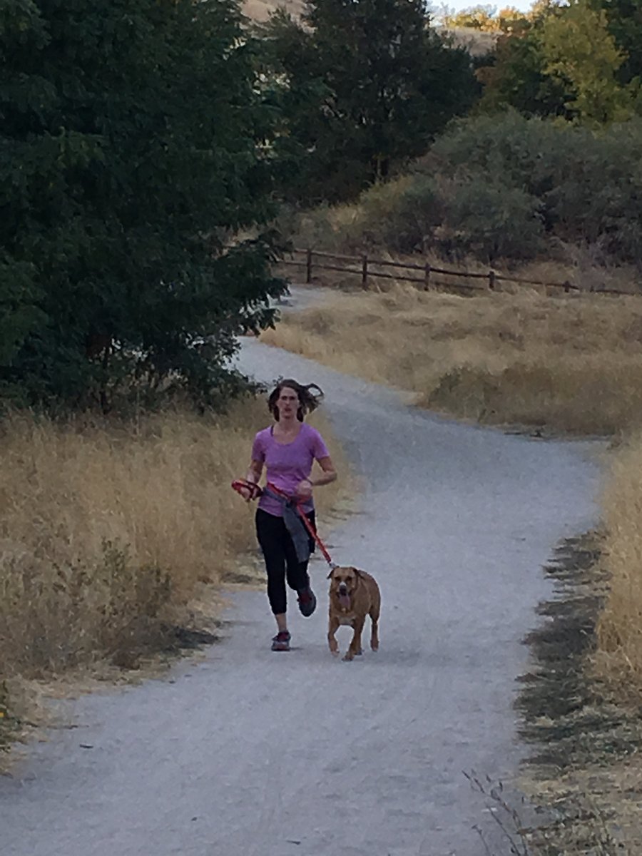 Hiking and jogging trails in Camelsback Park