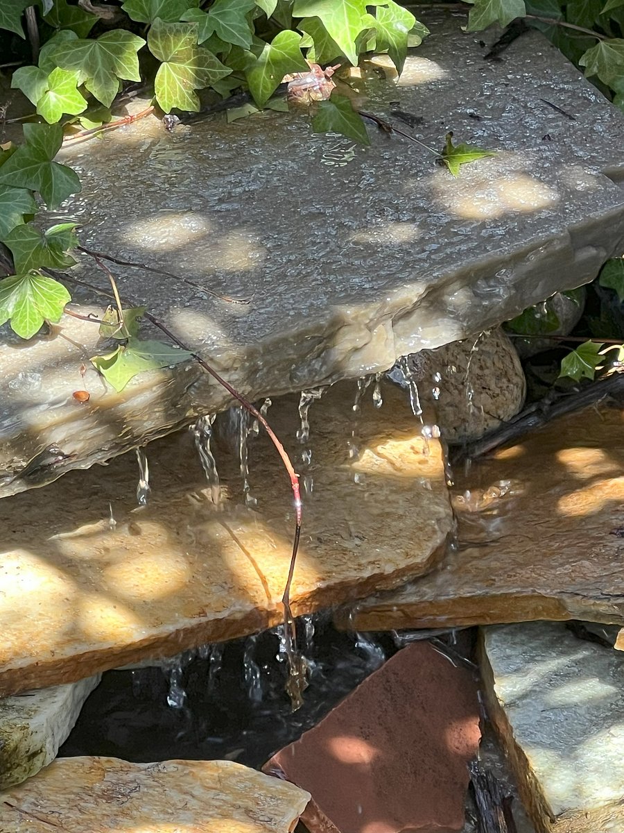 Waterfall in the garden