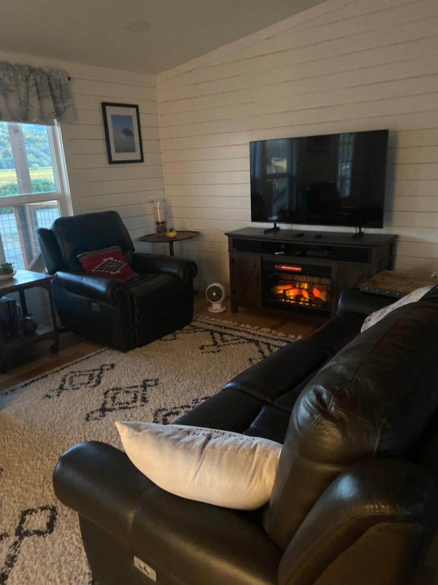 Living room with electric fireplace 