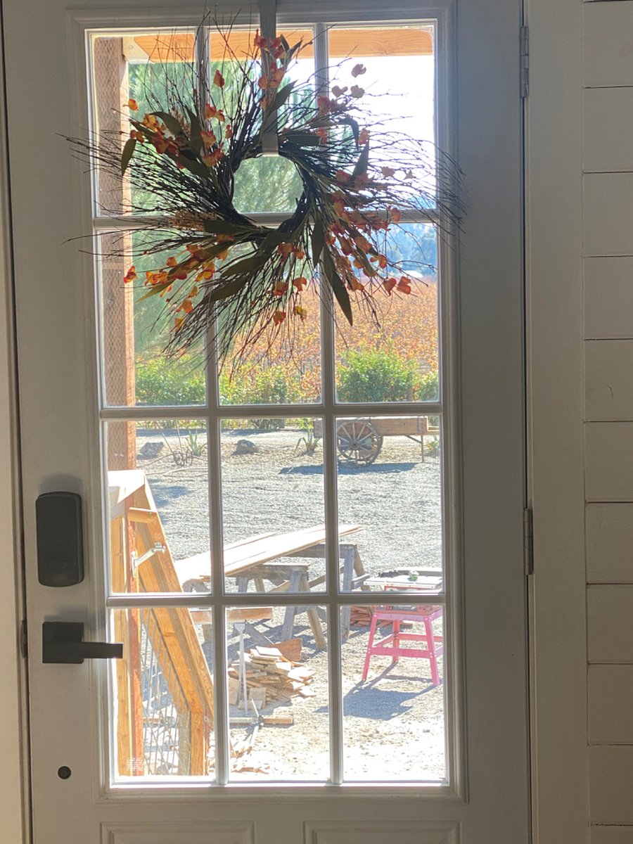 Vineyard Views