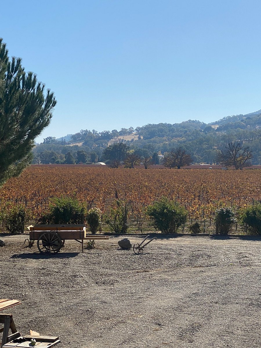 Front yard view and parking 