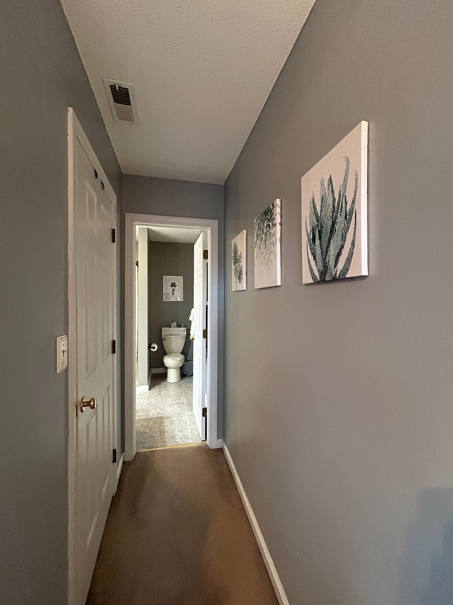 Master bedroom hallway leading to upstairs bathroom and walk-in closet