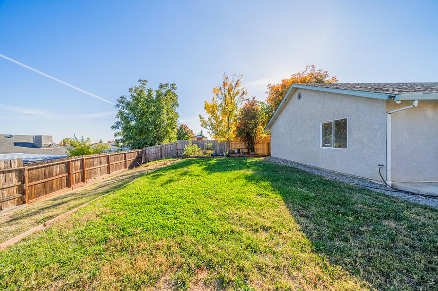 Back Yard Fully Fenced