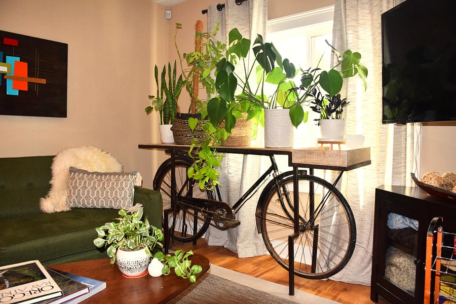 Furnished Finder property 772949_1 photo 4