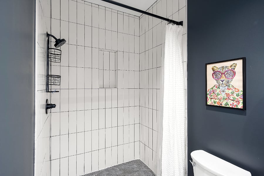 Bathroom, Spacious walk in shower.