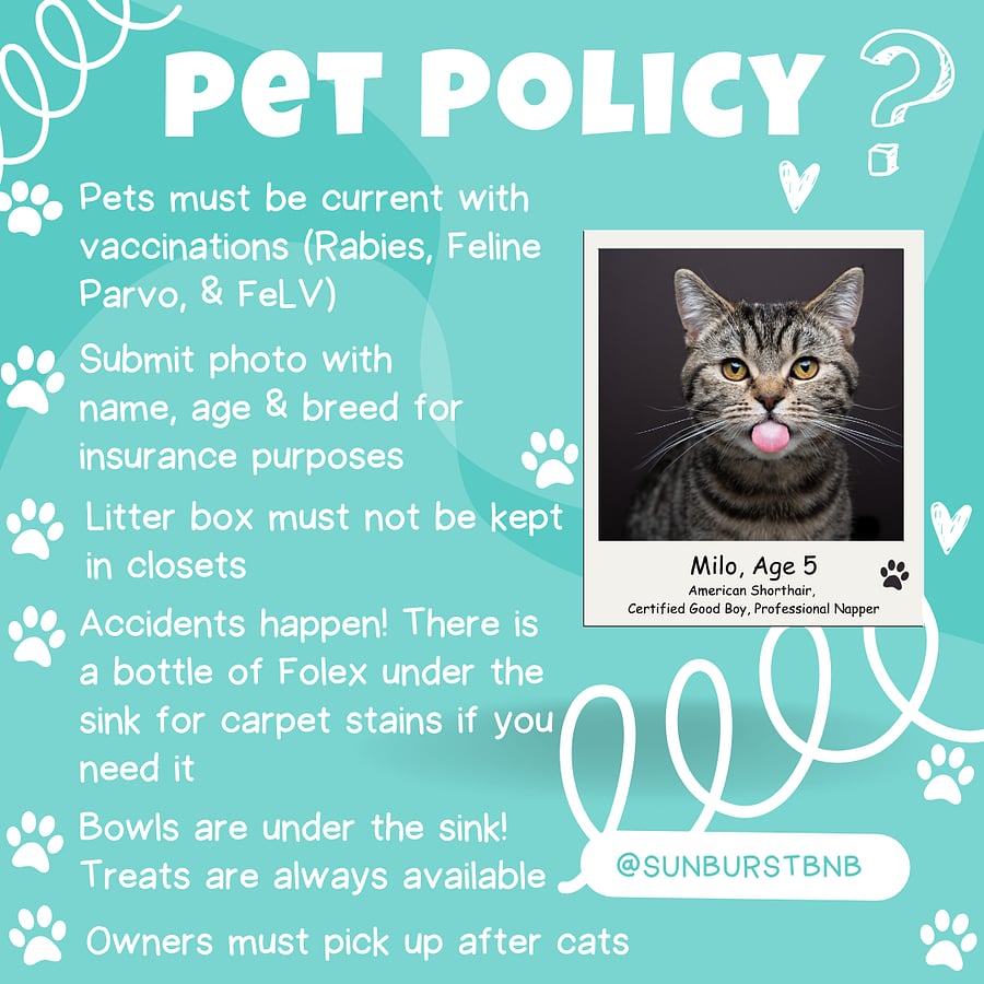 Pet Policy - Cats