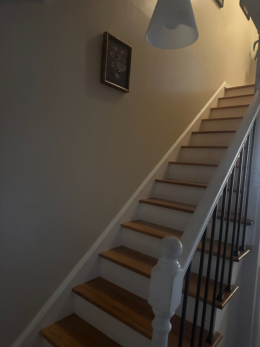 Furnished Finder property 773075_1 photo 13