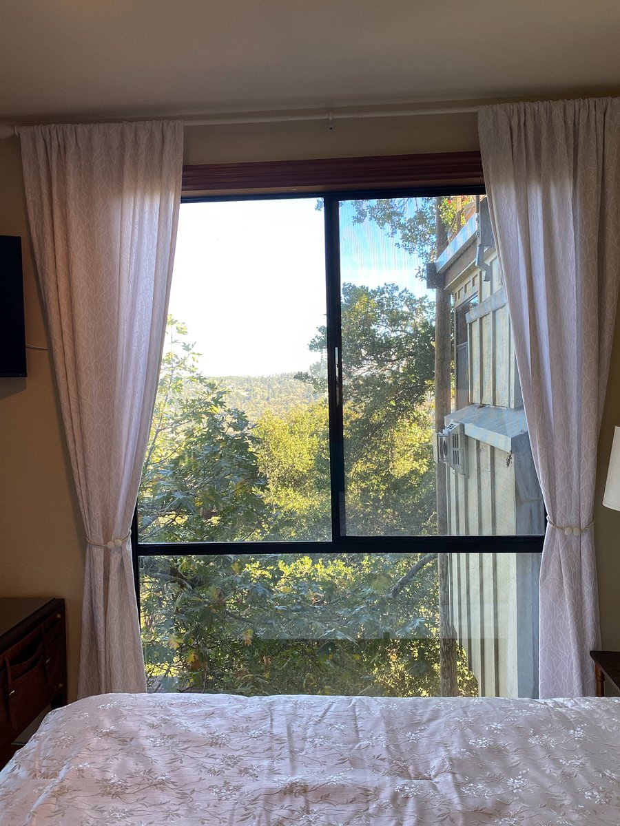View from Oaktop's bedroom window.