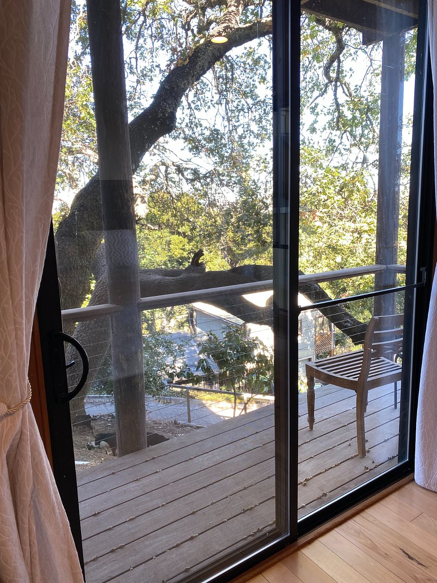 Private back deck.