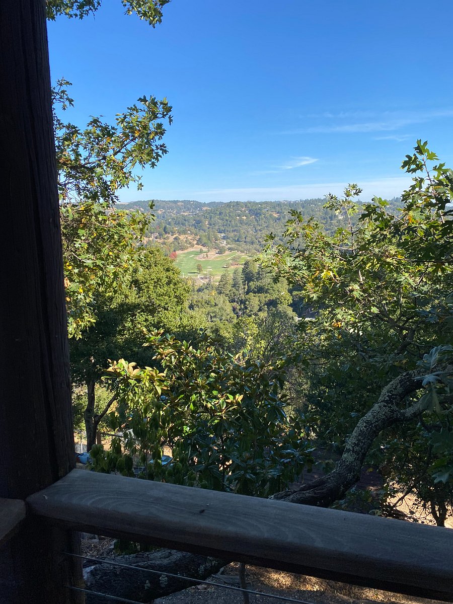 View from Oaktop's private deck.