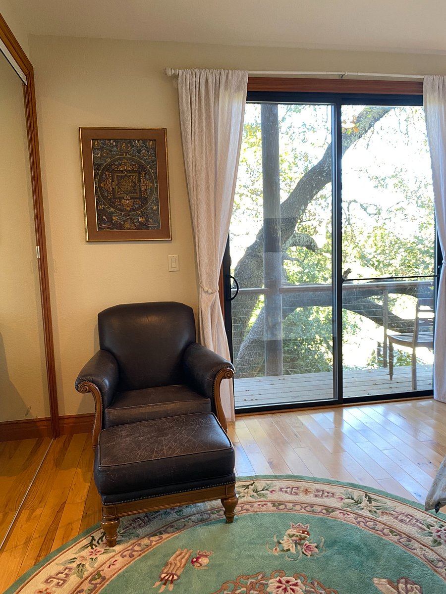 Leather chair and ottoman, next to deck