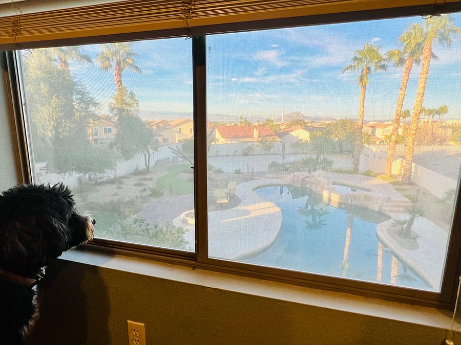 View from upstairs TV room. 