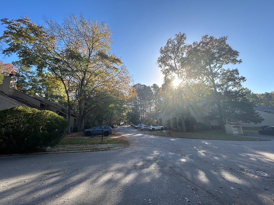 View of the subdivision from the unit. The neighborhood is known for its big oak trees. 