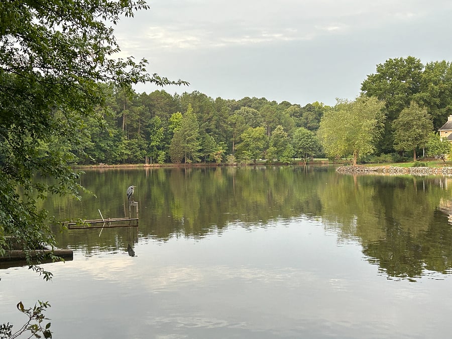 Lake in the neighborhood with walking trails