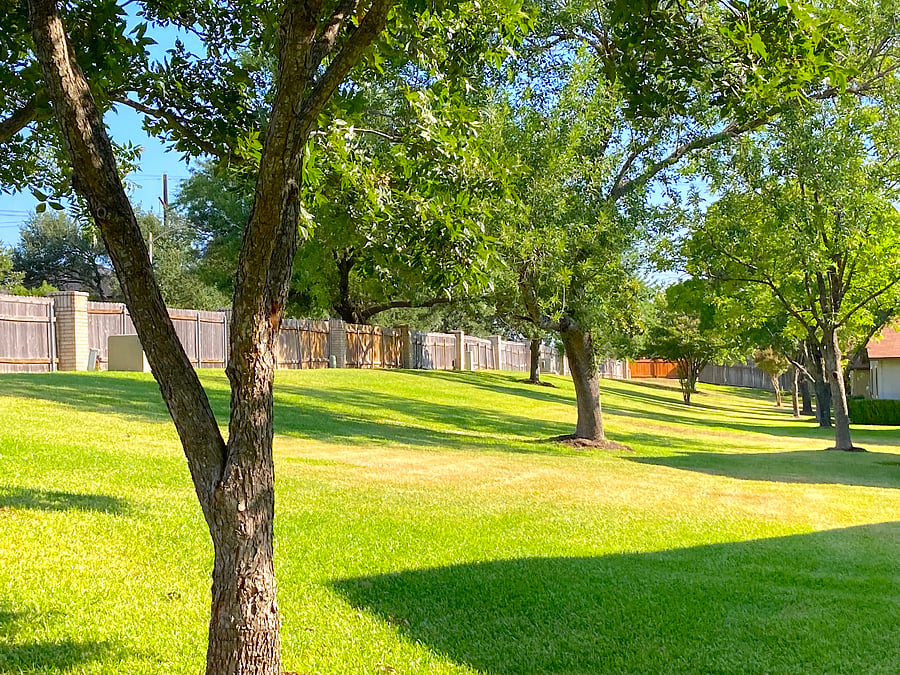 Backyard
