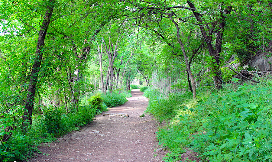 Nearby Walnut Creek Hike & Bike Trails