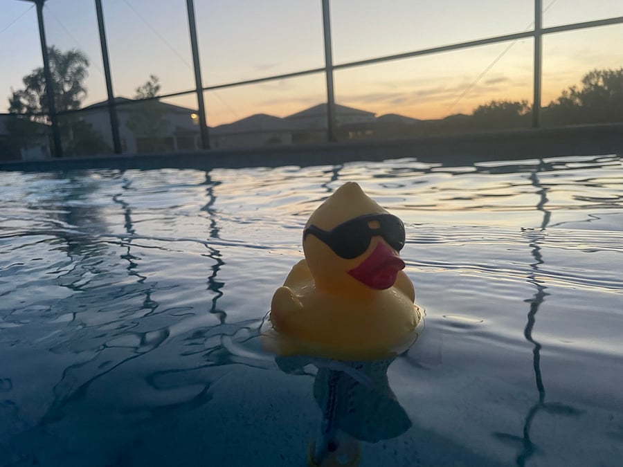 Leonard in the backyard pool