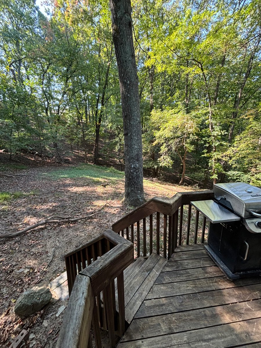 Furnished Finder property 773901_1 photo 15