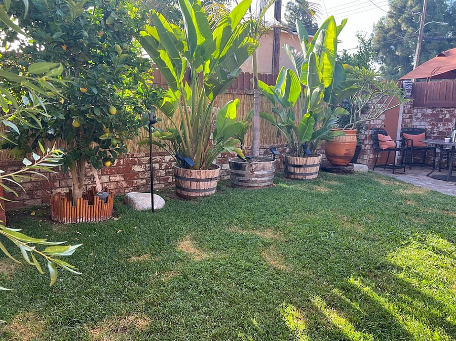Furnished Finder property 773920_1 photo 31
