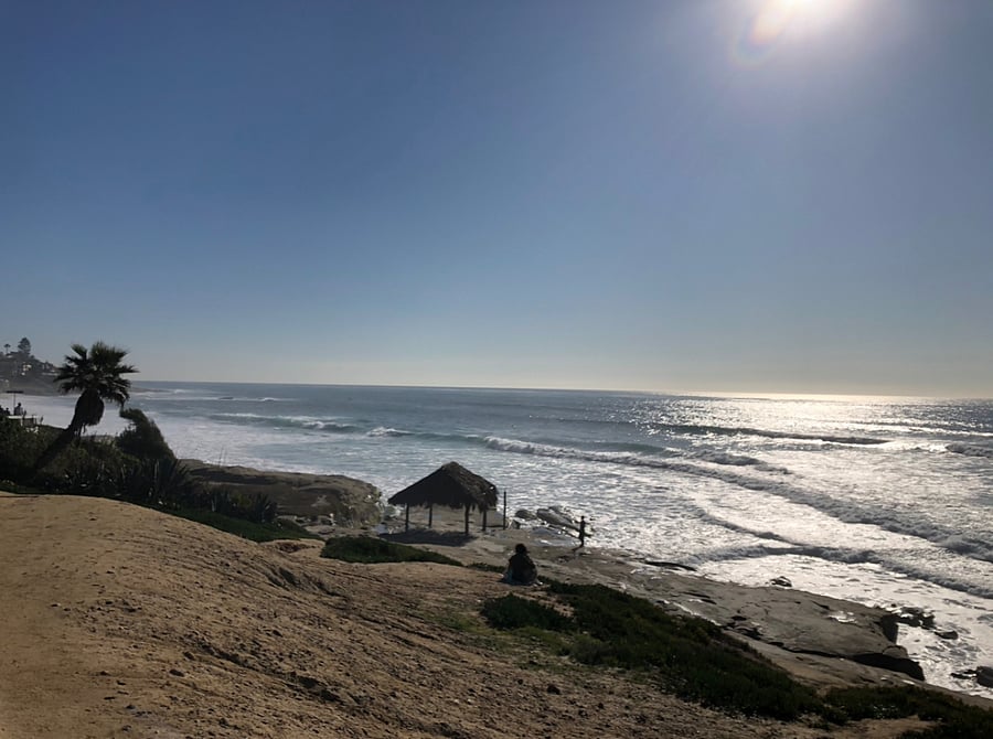famous windansea beach in San Diego