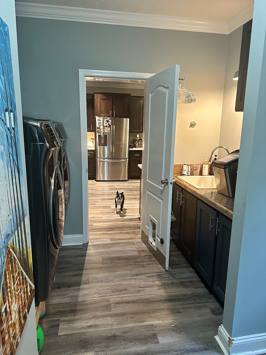 Utility Room. Washer and dryer. Emma follows me around everywhere. 